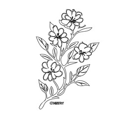 Delicate floral illustration featuring stylized blossoms and leaves on a single stem