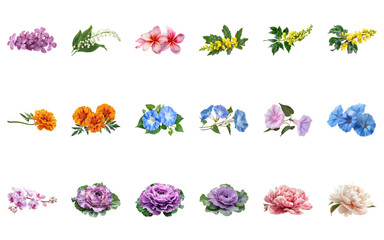 Beautiful Floral Arrangements for Design