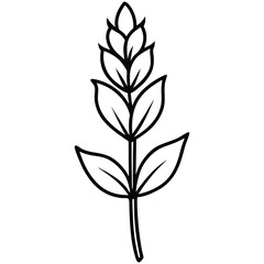 Whispers of Wild Beauty: Sketch Line Art of a Lupine Flower