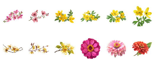 Floral Arrangements Spring Blossom Images