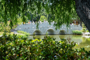 Beautiful garden photos of flowers at The Huntington Gardens in Pasadena California, stone bridge, moonbridge, Chinese garden