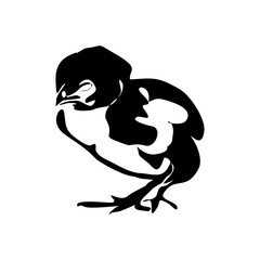 Black silhouette of the chick. Cute little chicken. vector illustration
