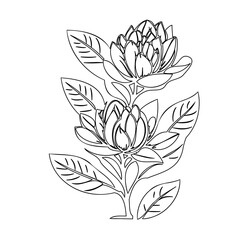 Minimalist botanical illustration featuring a delicate blooming floral arrangement