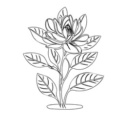 Elegant botanical illustration of an exotic flower with delicately drawn leaves