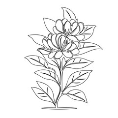 Delicate floral illustration featuring stylized blossoms and leaves, a botanical line drawing