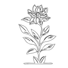 Elegant floral outline: a minimalist monochrome botanical illustration art piece