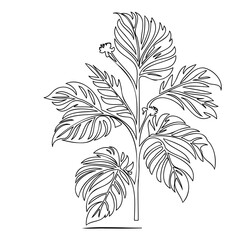 Botanical elegance: A monochromatic portrayal of verdant foliage and delicate blooms