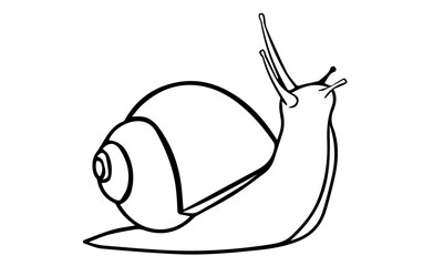 Fototapeta premium snail on a white background