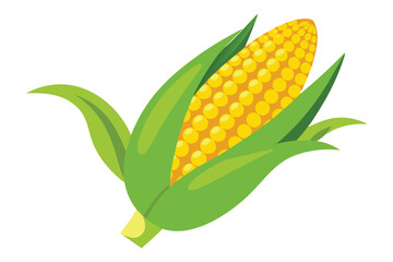 Isolated Fresh Corn Vector Illustration