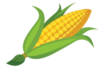 Isolated Fresh Corn Vector Illustration