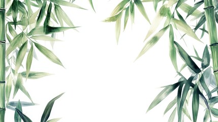 Fototapeta premium Bamboo leaves frame