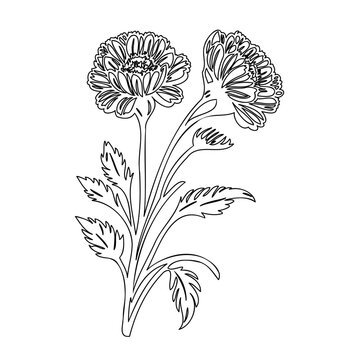 black and white flower line art clip art preview