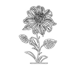 Elegant floral outline illustration, portraying a minimalist artistic style