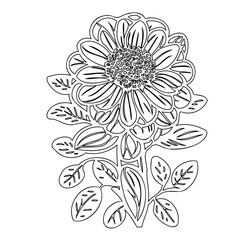 Monochrome botanical line art showcasing a detailed floral design in black and white