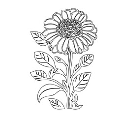 Elegant botanical drawing showcasing a stylized flower with surrounding foliage