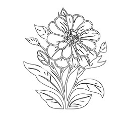Elegant botanical illustration featuring outlined floral elements and foliage bouquet