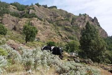 Landschaft auf Santo Antáo in den Kap Verden © Falko Göthel