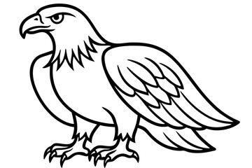 Soaring Eagle Linework