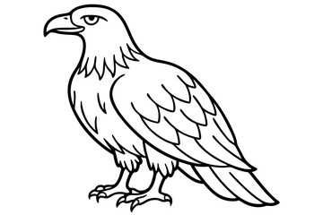 Soaring Eagle Linework