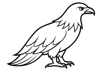 Soaring Eagle Linework