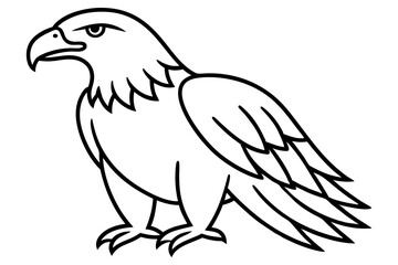 Soaring Eagle Linework