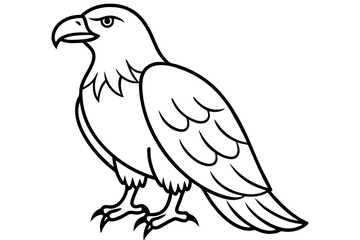 Soaring Eagle Linework