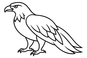 Soaring Eagle Linework