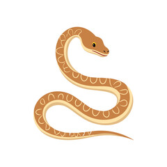 Vibrant flat vector illustration of a coiled brown snake with intricate pattern, ideal for wildlife, nature, or reptile-themed designs.
