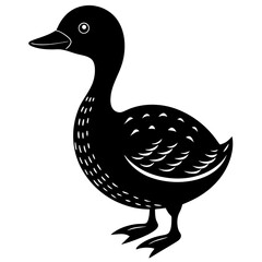 duck isolated on white