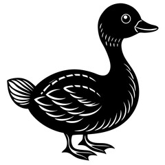 duck isolated on white