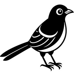bird on a branch