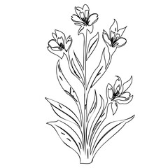 Elegant floral sketch showcasing delicate blooms and graceful botanical design