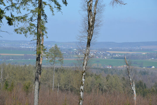 Nebeldunst &uuml;ber Erzgebirgslandschaft bei Jahnsdorf