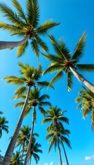 Towering tropical palm trees with vivid green leaves under an azure sky in a peaceful summer scene