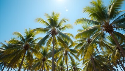 Cluster of tall tropical palm trees with lush green fronds swaying gently under a clear blue sky