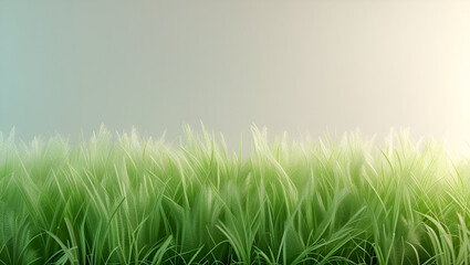 green grass background