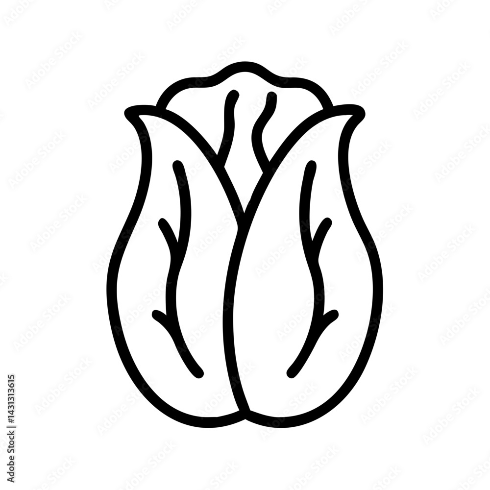 Poster outline drawing of a head of lettuce with prominent leaves and visible inner structure on white back