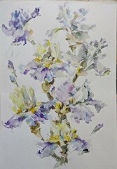 Abstract bright colored decorative background . Floral pattern handmade . Beautiful tender romantic bouquet of iris flowers , made in the technique of watercolors from nature.
