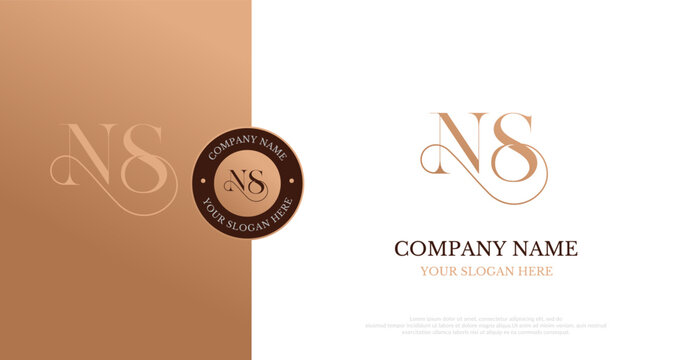 Initial NS Logo Design Vector 