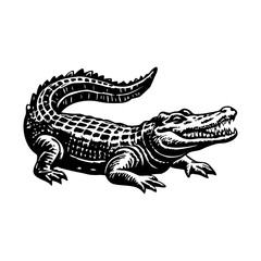 A sketchy style illustration of alligator 