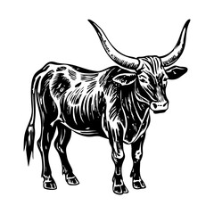 Anokle watusi illustration in vintage style 