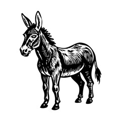 A vintage style illustration of donkey 