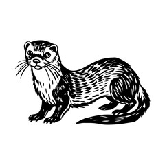 A vintage style illustration of ferret
