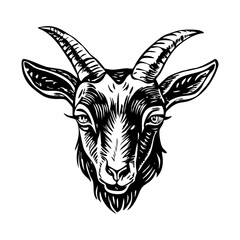 Goat head illustration in vintage style 