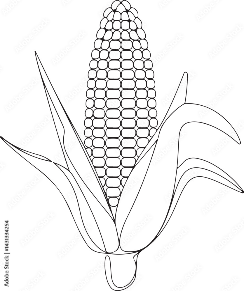 Poster continuous line art drawing of a black corn cob maize ear isolated on a clean white background showc