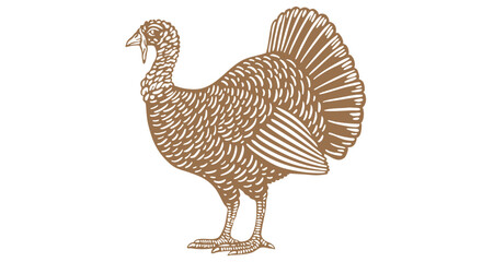 Turkey. Vintage retro print, black white turkey drawing, engrave old school style. Sketch artwork silhouette turkey on white background. Side view profile. Vector Illustration