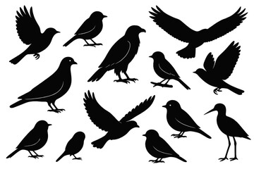 Fototapeta premium Collection of various bird silhouettes suitable for design and decorative purposes in a minimalist style