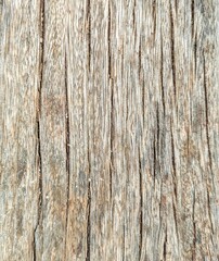 Fondo de madera vieja de aspecto desgastado, blanco y gris.