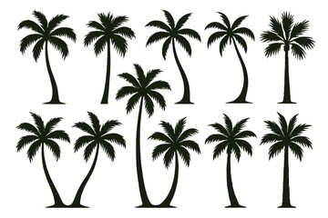 Obraz premium Icon set of palm trees suitable for tropical and coastal themed designs