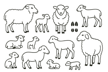 Icon set featuring various sheep silhouettes including lambs and adult sheep in playful, simple designs for creative use